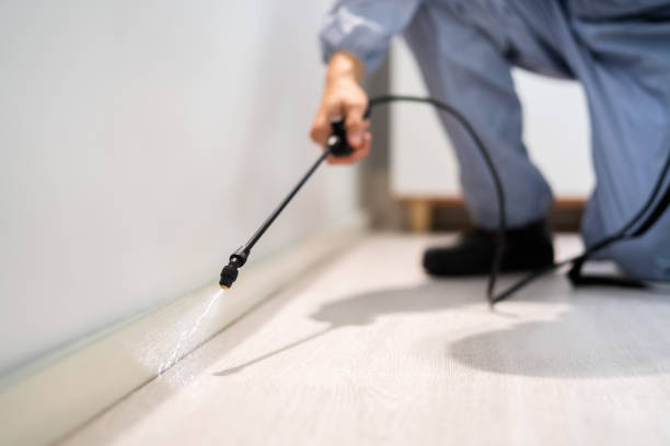 Licensed Pest Control service in Springville, NY - Show Me Pest Control